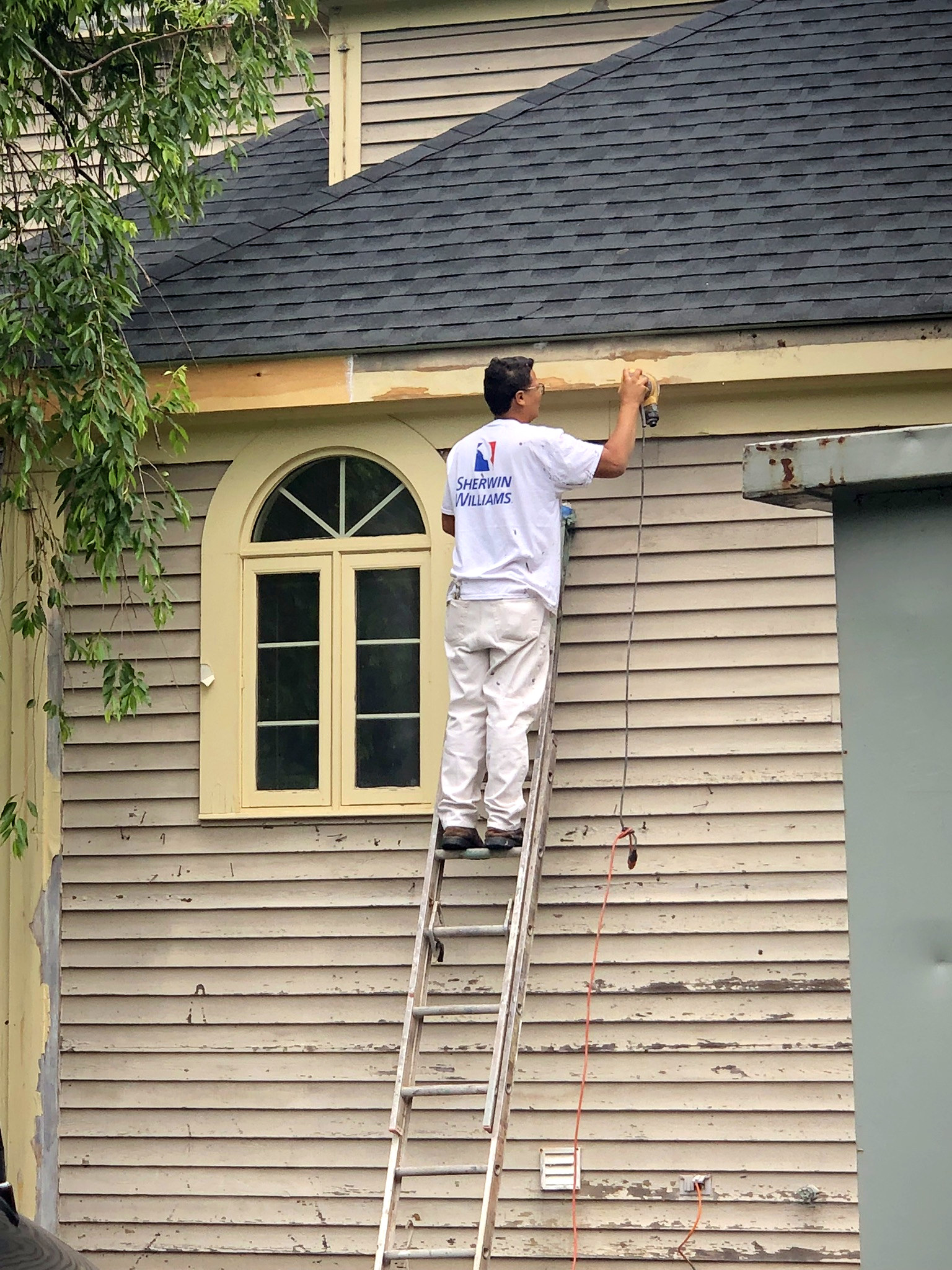 Connecticut house painter on ladder doing trim work in branded shirt